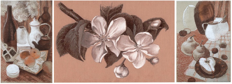 цветы яблони рисунок карандашами