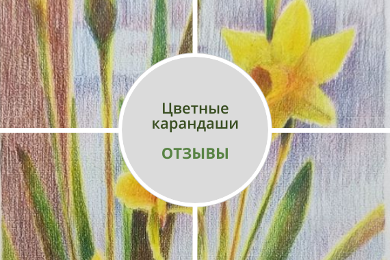 Рисунки учеников с курса