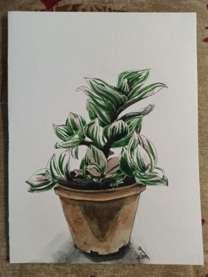 Рисунки учеников с натуры