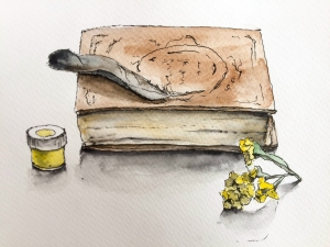 Рисунки учеников с натуры