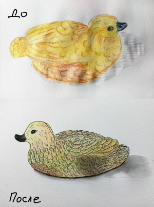 Рисунки ДО и ПОСЛЕ марафона