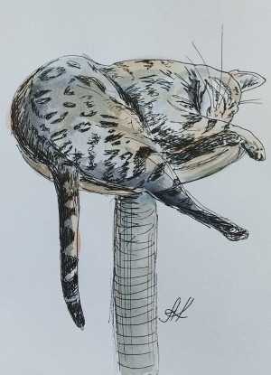 Рисунки учеников с натуры