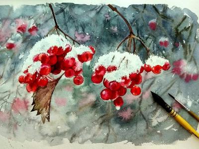ягоды калины под снегом