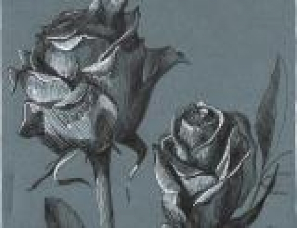 цветок розы ручками черной и белой
