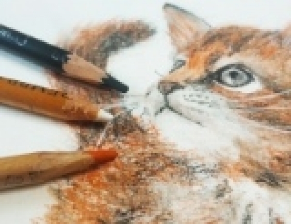 рыжий котенок рисунок карандашами