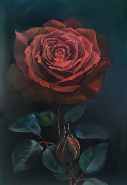 Одиночная темно-красная роза