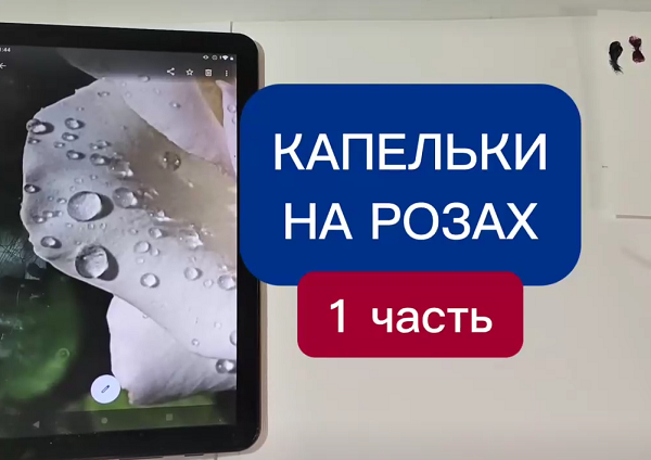 Капельки на розах