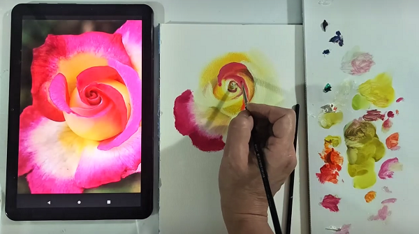 Сложные розы