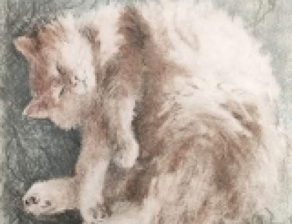 Цветной рисунок соусом котик