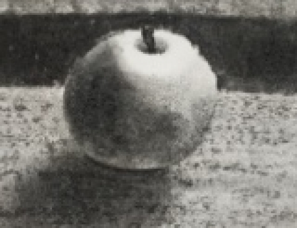 яблоко рисунок углем