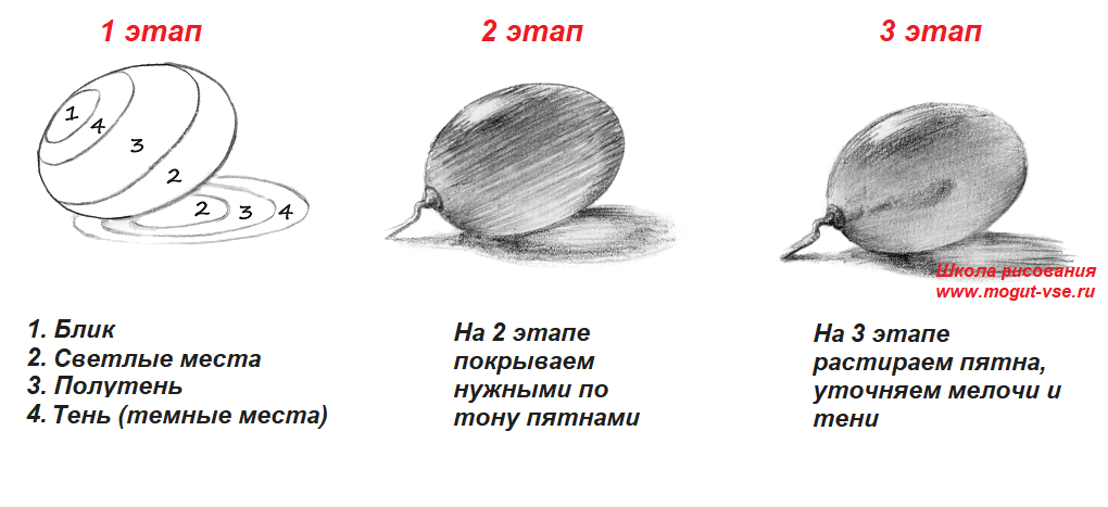 Как научиться рисовать с нуля поэтапно: видеоинструкция с советами экспертов