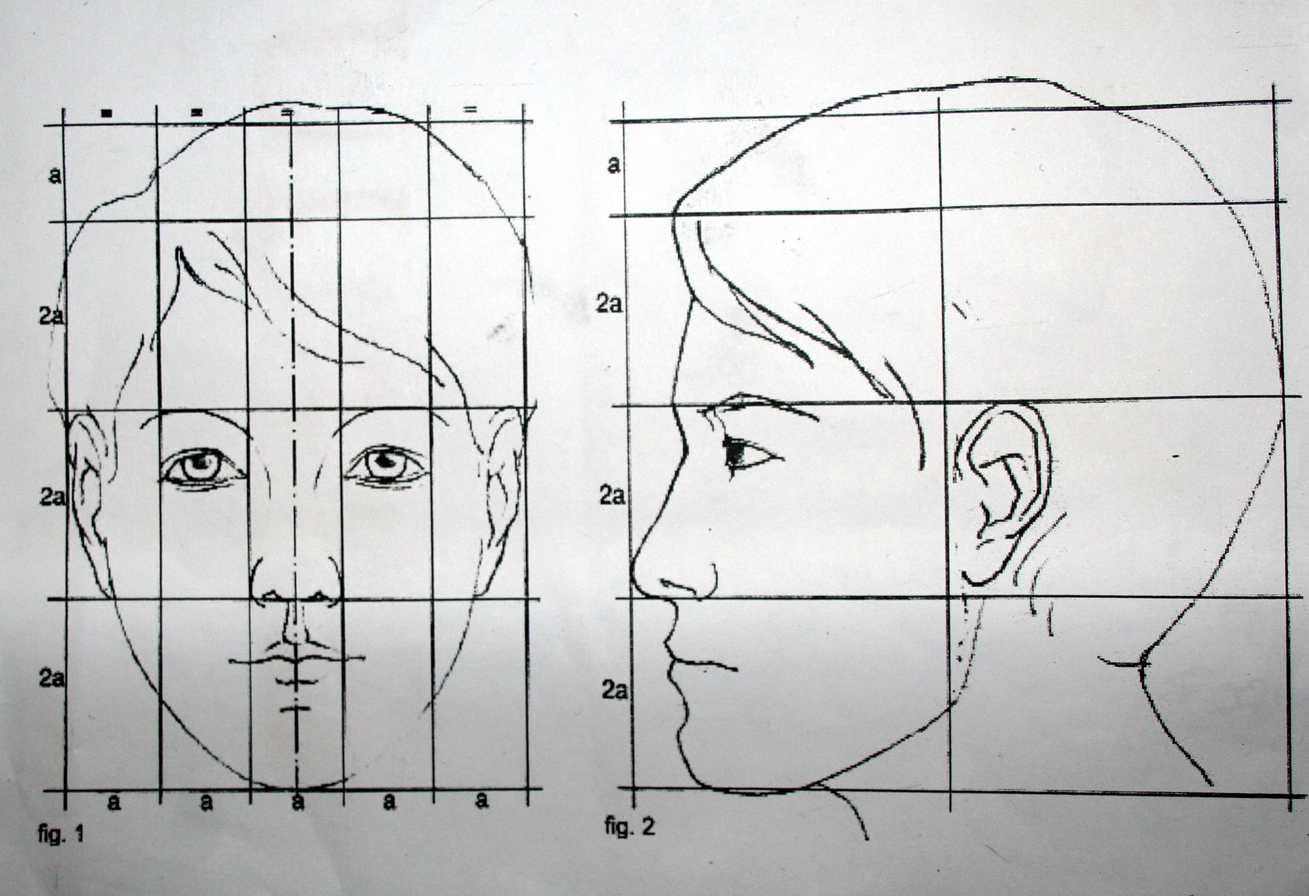 Портрет человека 4 класс изо. Пропорции портрета человека профиль. Пропорции лица человека профиль и анфас. Портрет (конструкция головы человека. Анфас, профиль). Пропорции головы человека рисунок.